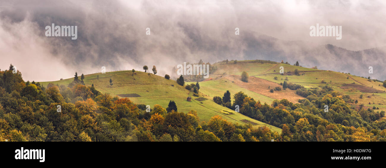 Fog mist grass field rain hi-res stock photography and images - Alamy