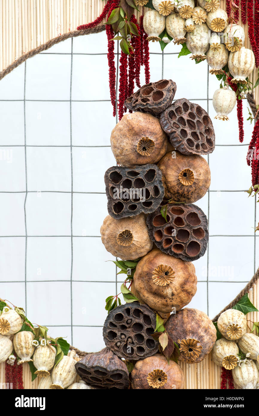 Floral autumn art. Circling seed pods at Harrogate autumn flower show. Harrogate  North Yorkshire, England Stock Photo