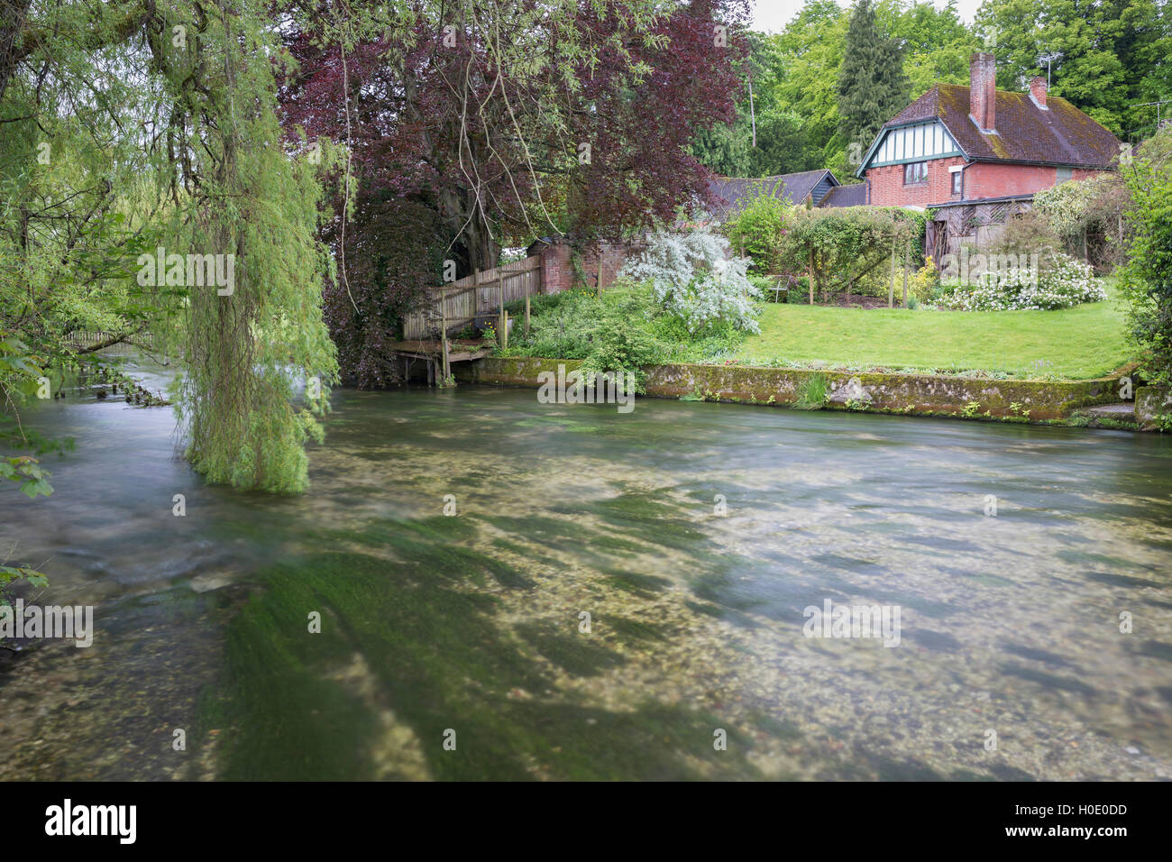 The River Test at Wherwell, Hampshire. England. UK Stock Photo Alamy