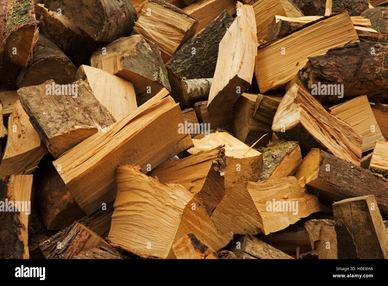 Large cut pieces of pine and birch firewood for the fireplace, stacked