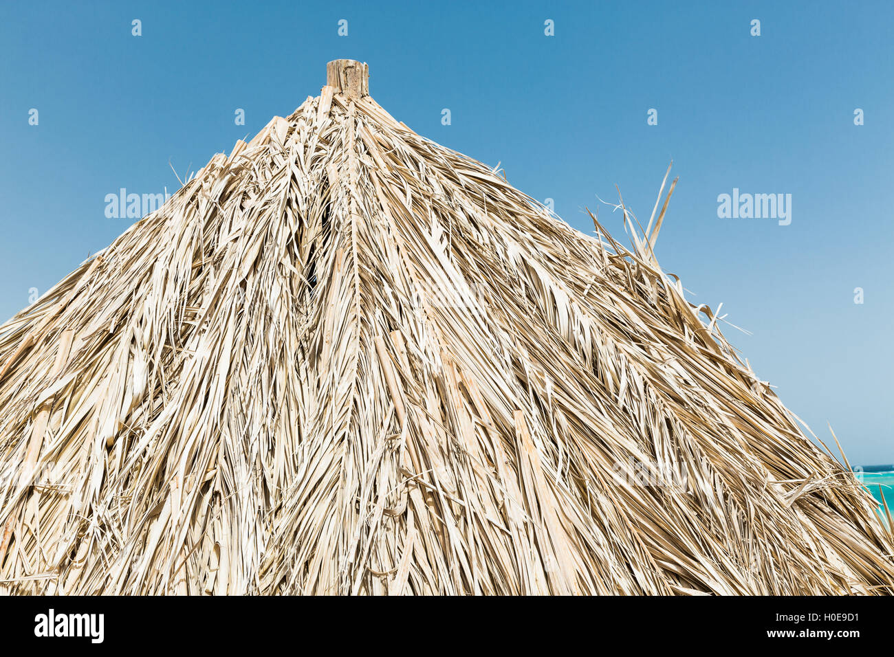 Hut of dried leaves Stock Photo - Alamy