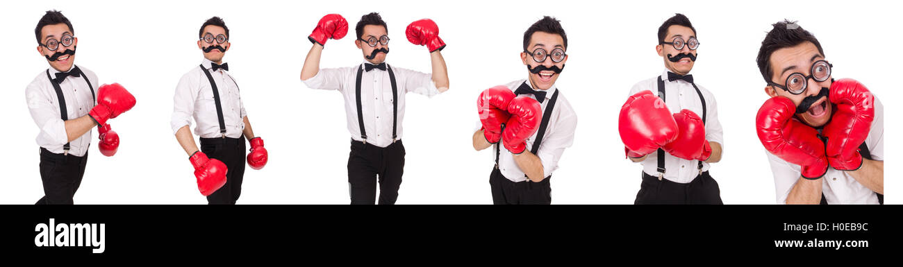 Funny boxer isolated on the white background Stock Photo - Alamy