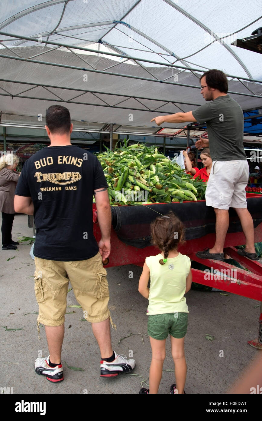Delivery of fresh corn on the cob in Atwater Farmer's Market, Montreal, Canada Stock Photo