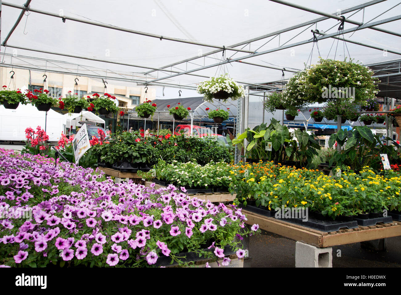 Strong business results hires stock photography and images Alamy