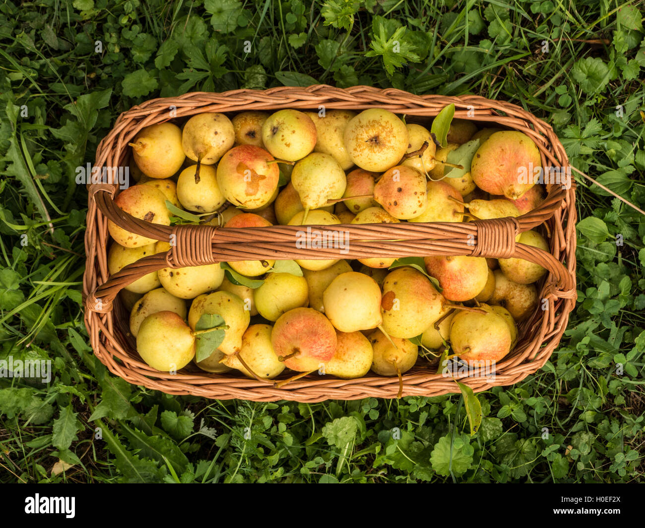 Nice basket hires stock photography and images Alamy