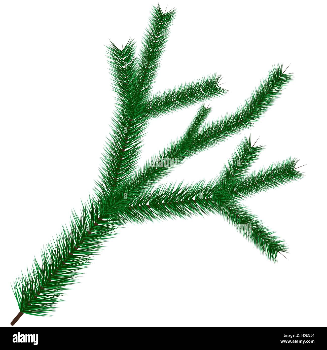 Vector illustration of christmas tree branche Stock Vector Image & Art ...