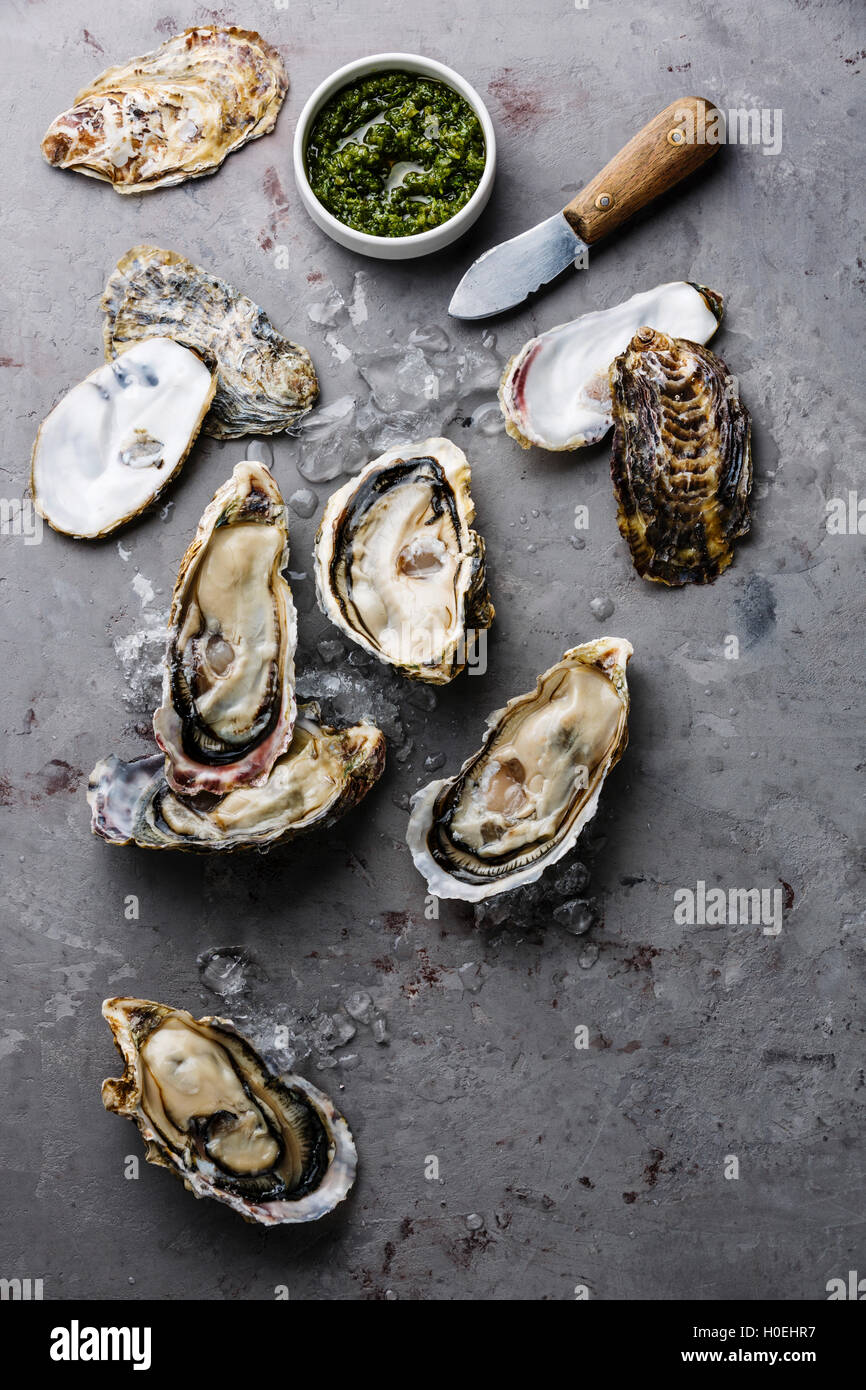 Open Oysters with ice, green salsa sauce and knife on gray concrete background Stock Photo