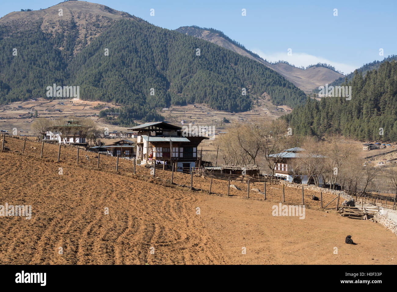 Farms and farmhouses in Phobjikha Valley, Wangdue, Western Bhutan Stock Photo