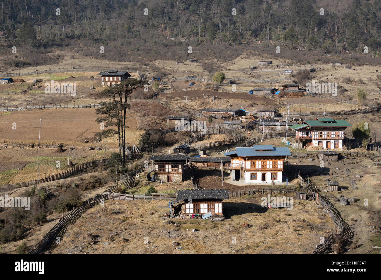 Farms and farmhouses in Phobjikha Valley, Wangdue, Western Bhutan Stock Photo