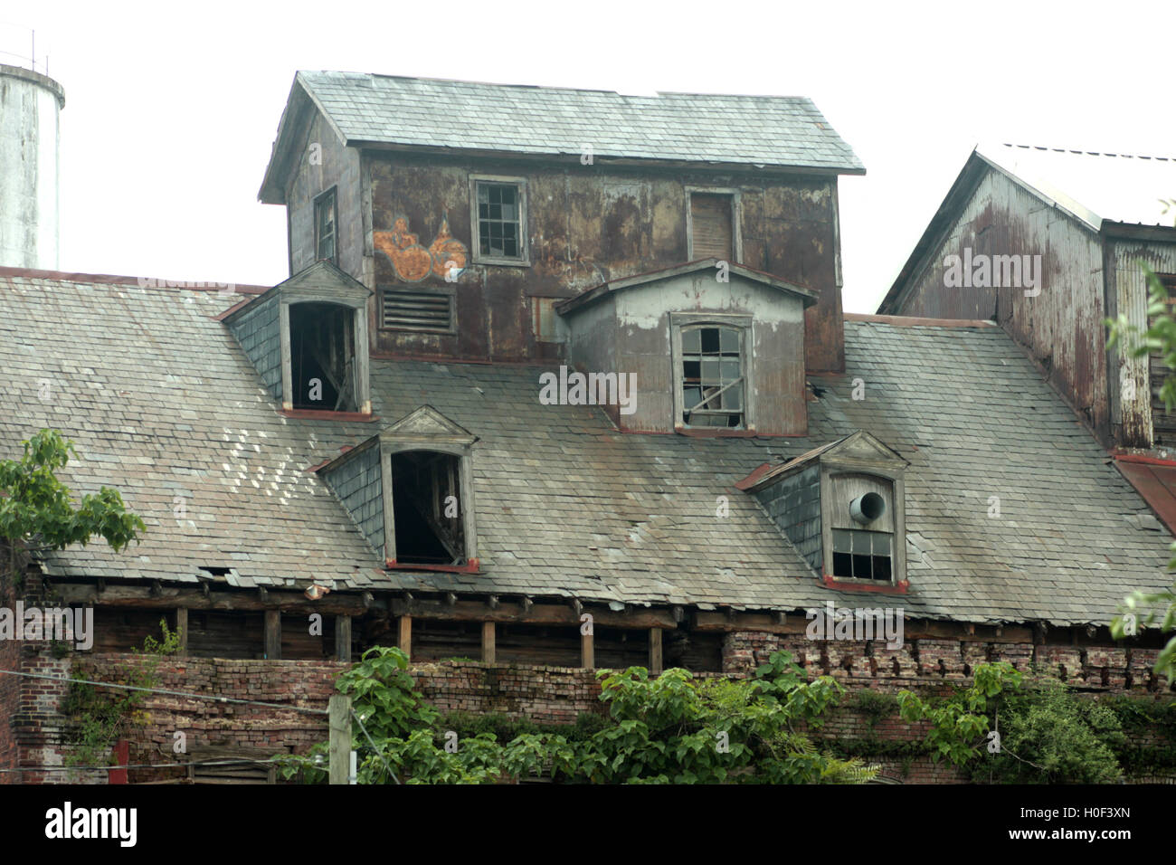 The abandoned Piedmont Flour Mill and Silo buildings on Jefferson