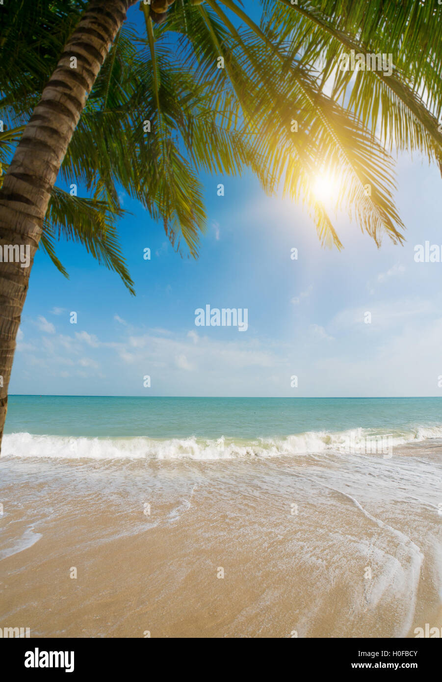 Amazing Tropical beach with coconut trees Stock Photo - Alamy