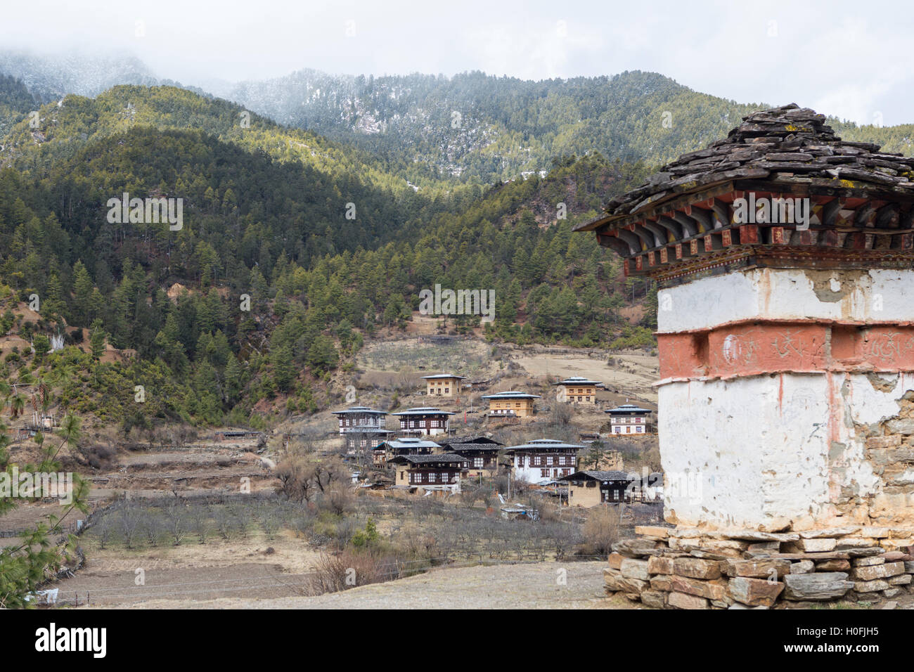 Farmhouses and farmland in the Haa Valley, Bhutan, winter Stock Photo