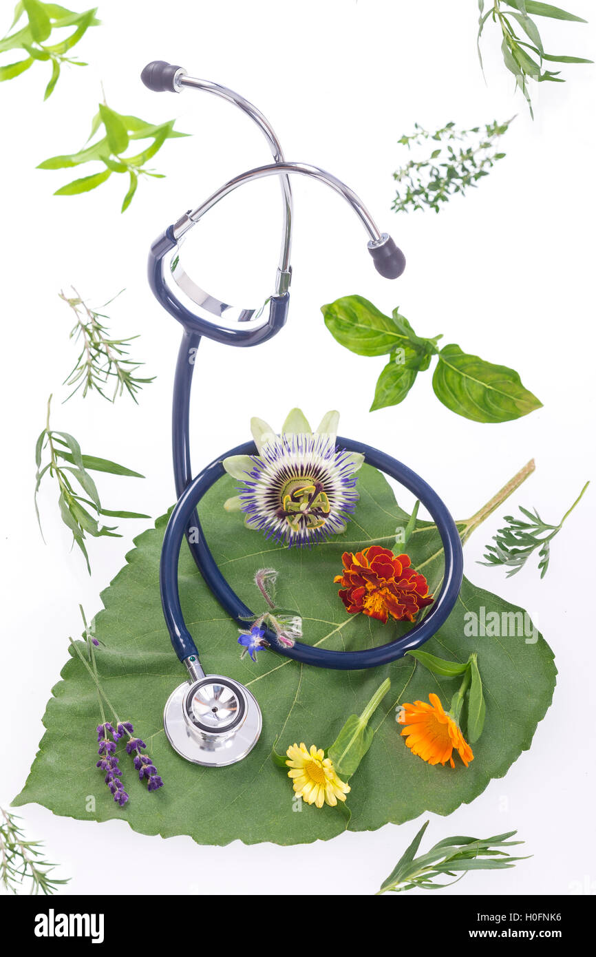 Alternative medicine herbs and stethoscope on leaf Stock Photo