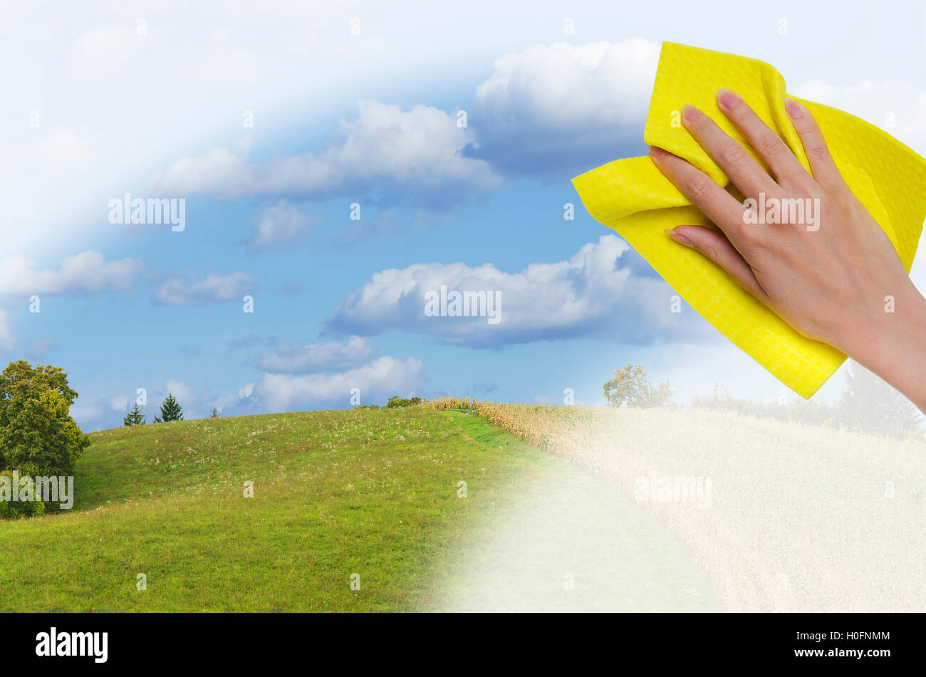 Hand cleaning window making hi-res stock photography and images - Alamy