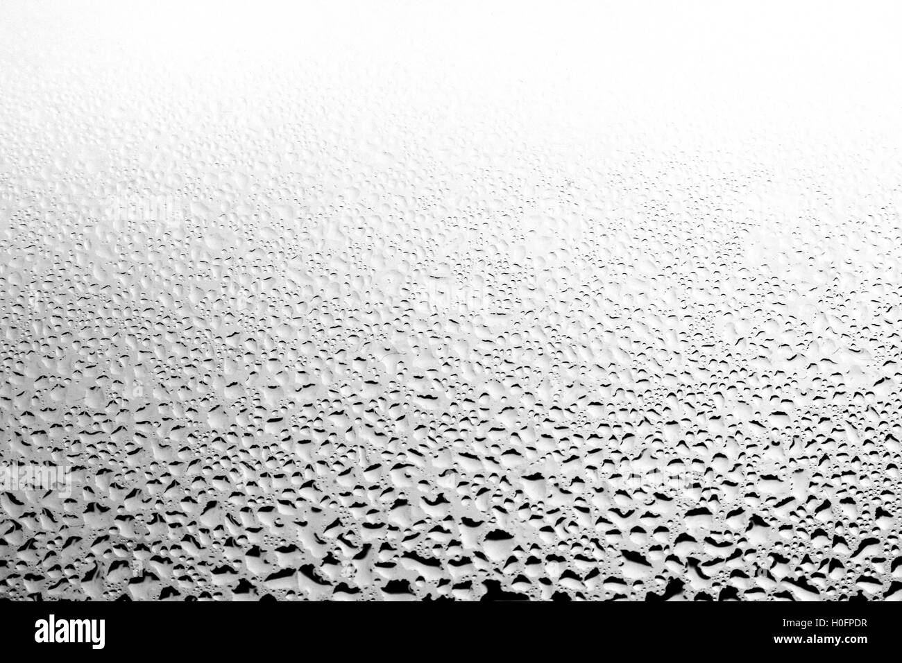 Water droplets Black and White Stock Photos & Images Alamy