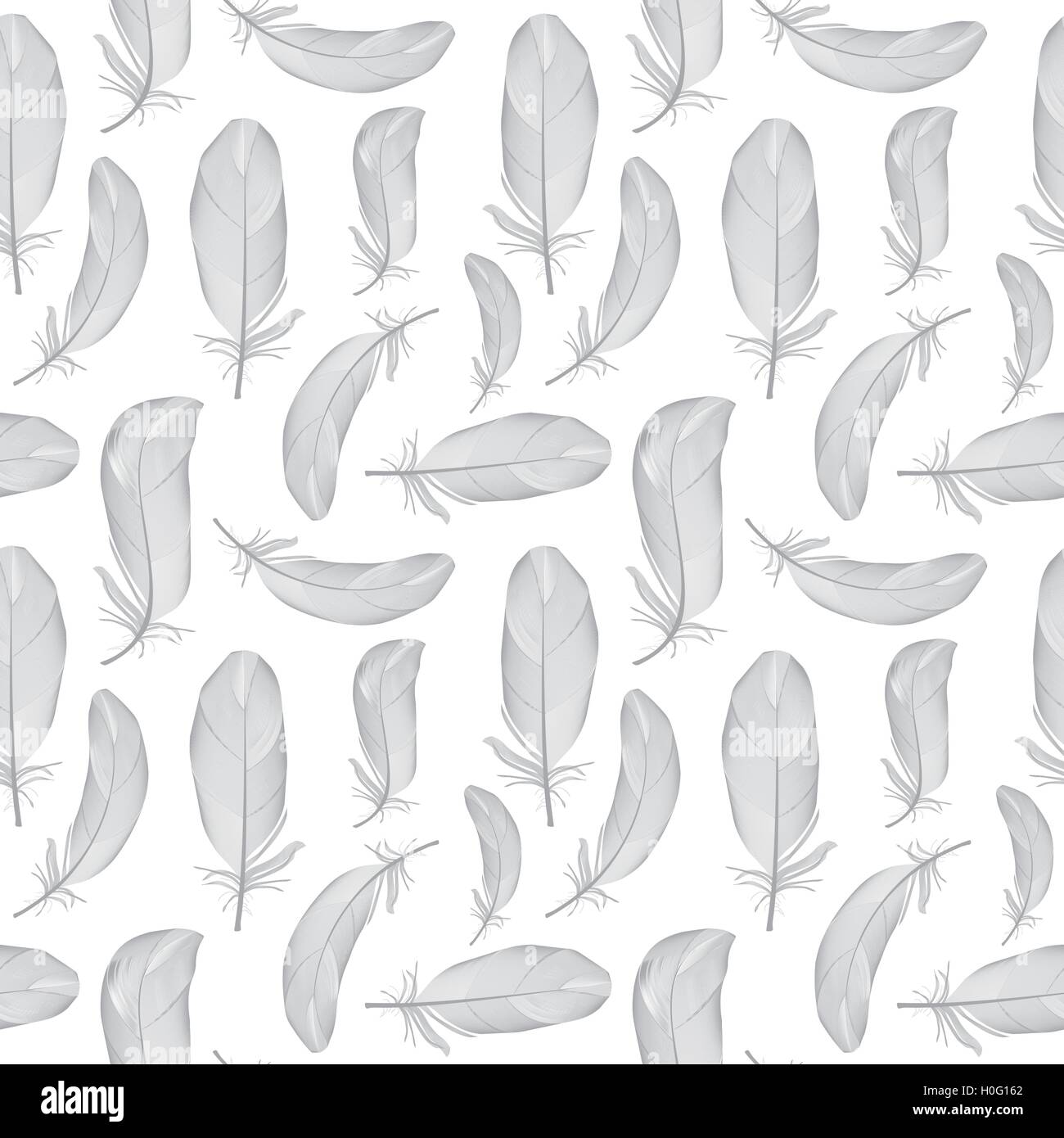 Bird Feather Hand Drawn Seamless Pattern Background Vector Illus Stock ...