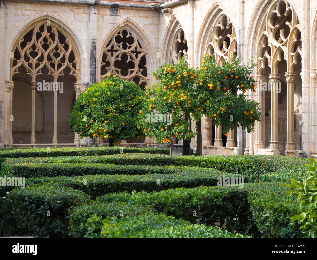 Cloister of the oranges hires stock photography and images Alamy