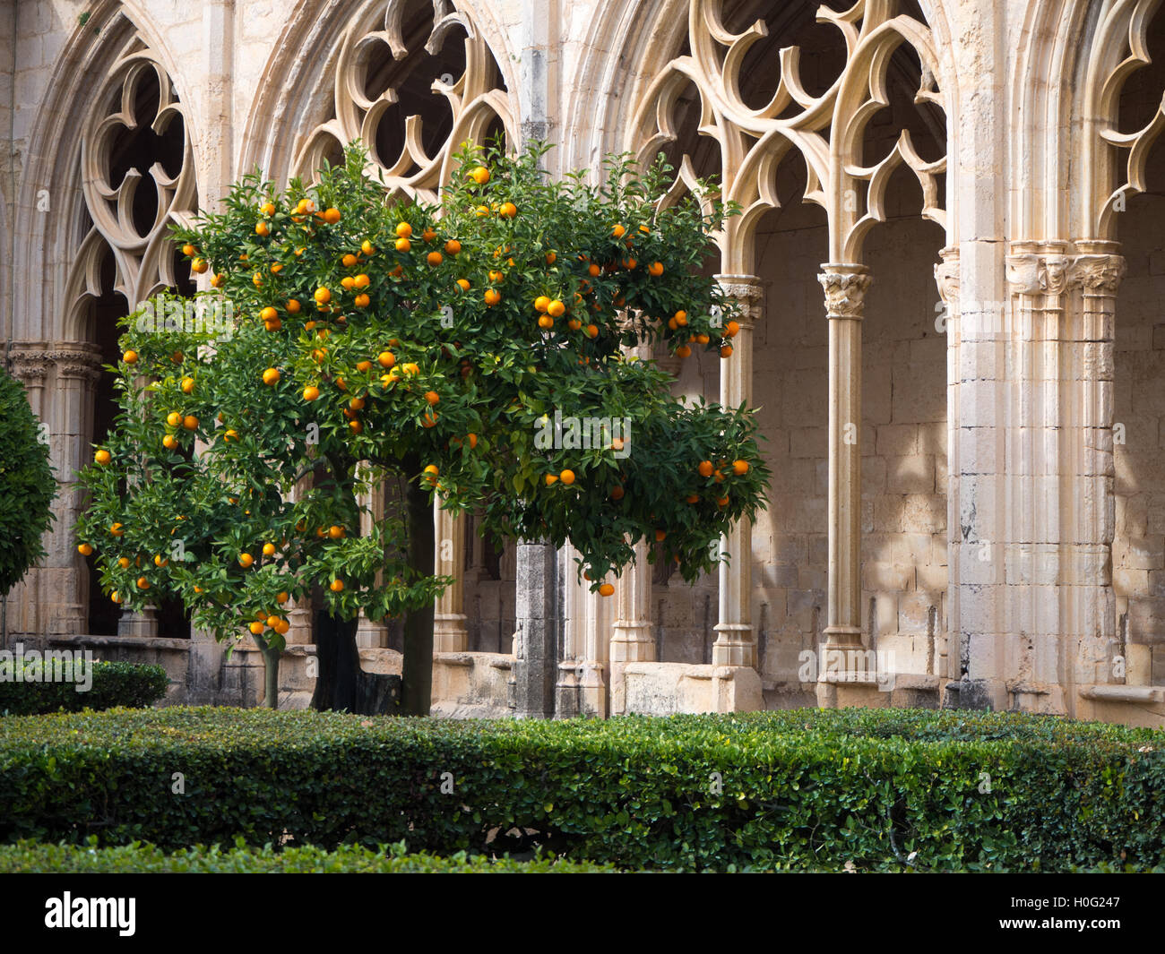 Cloister of the oranges hires stock photography and images Alamy