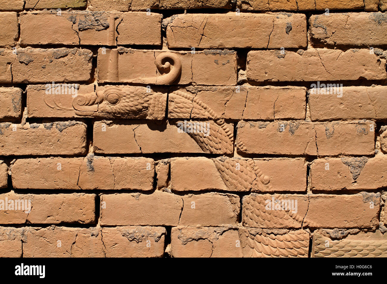 Mushussu, the dragon of Marduk, depicted as bas-relief on the original Ishtar gate, ancient Babylon, Iraq. Stock Photo