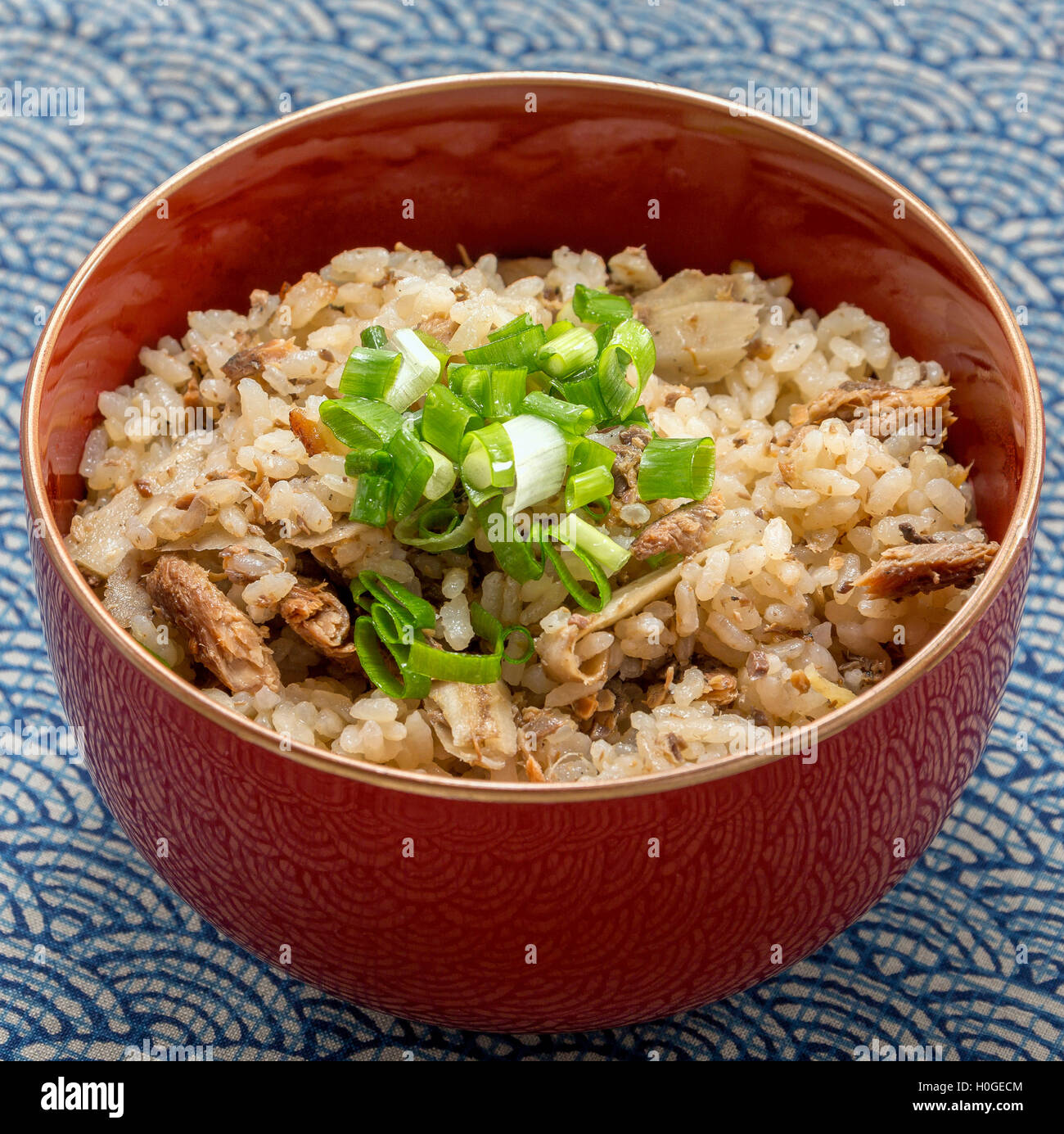 Fried rice with minced mackerel fish and onion in japanese bowl Stock