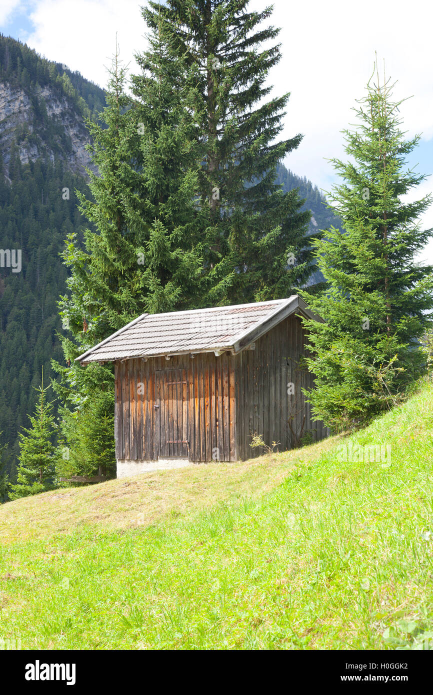 Wooden cabin with green mountain in Tirol, Austria Stock Photo