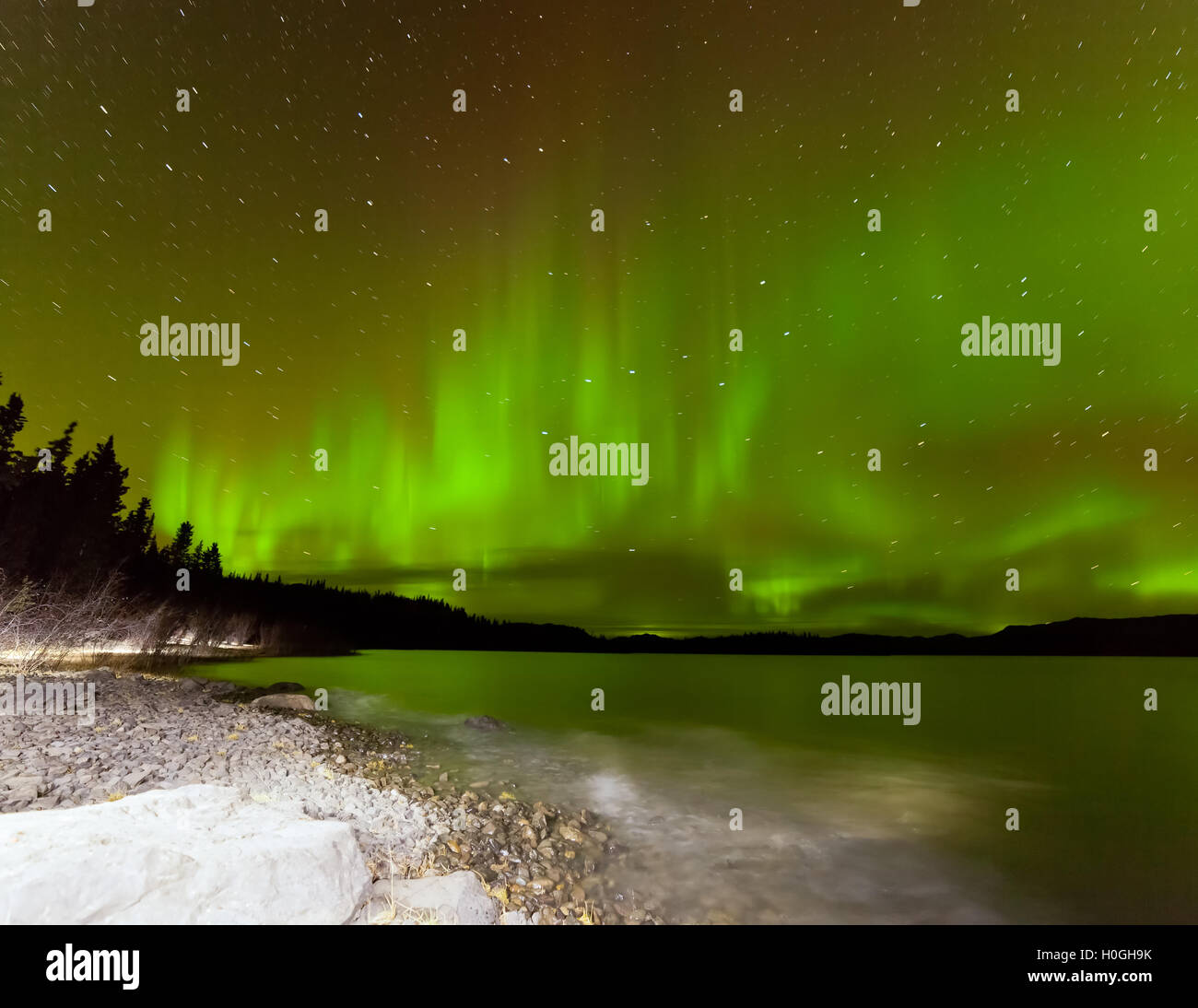 Aurora borealis night sky over Lake Laberge Yukon Stock Photo - Alamy