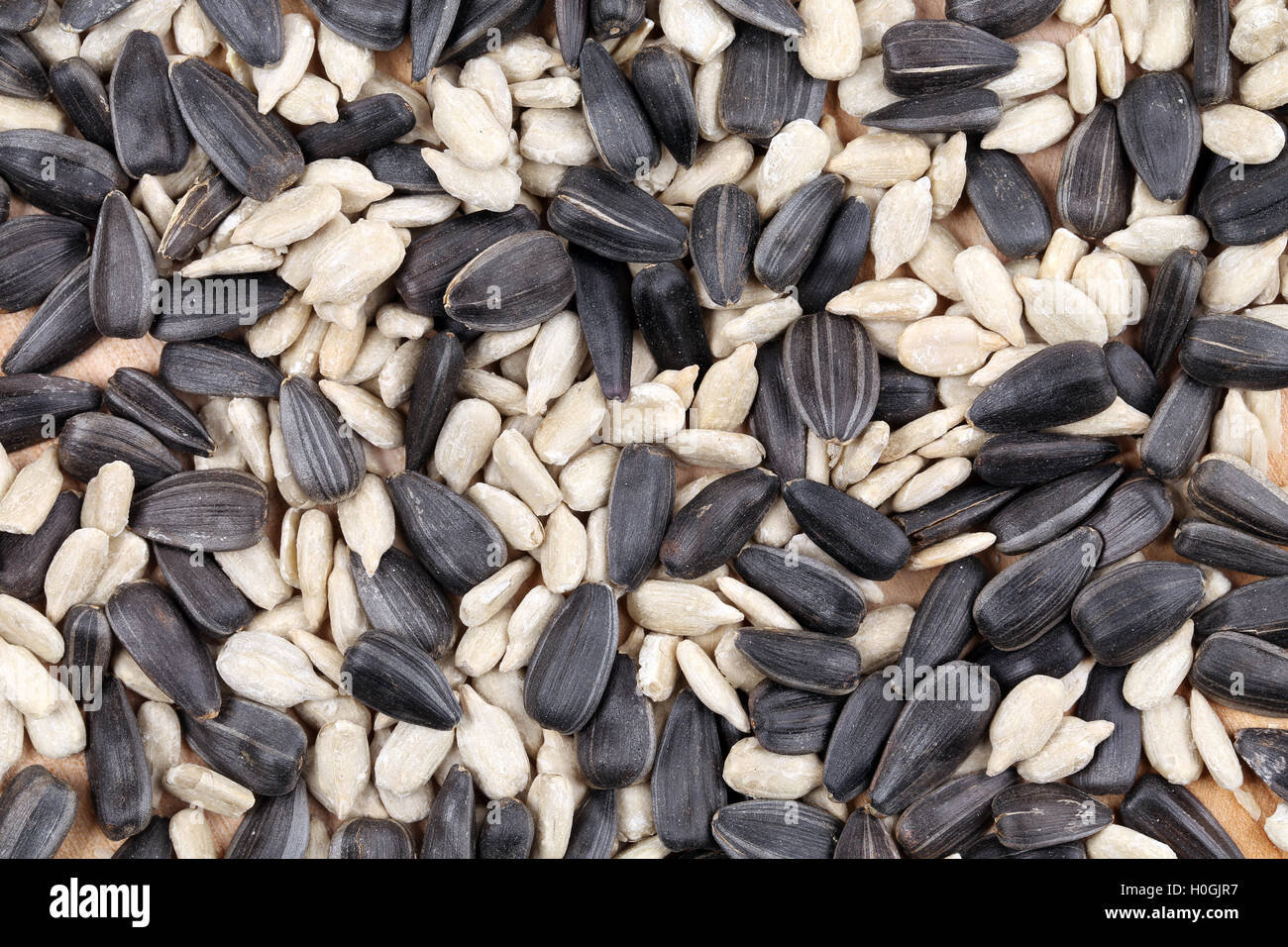 Sunflower seeds black and white Stock Photo Alamy