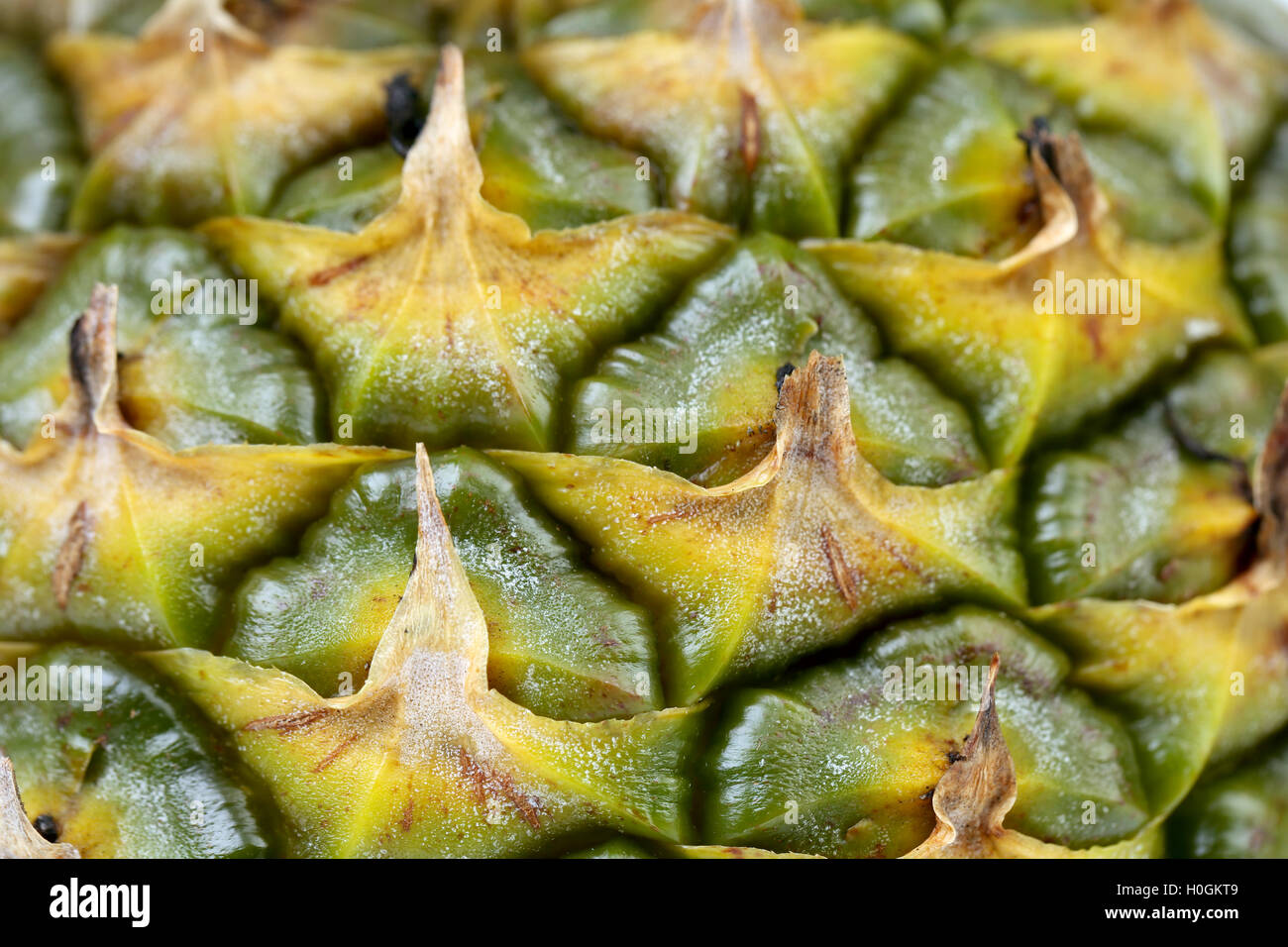 Background of pineapple skin Stock Photo Alamy