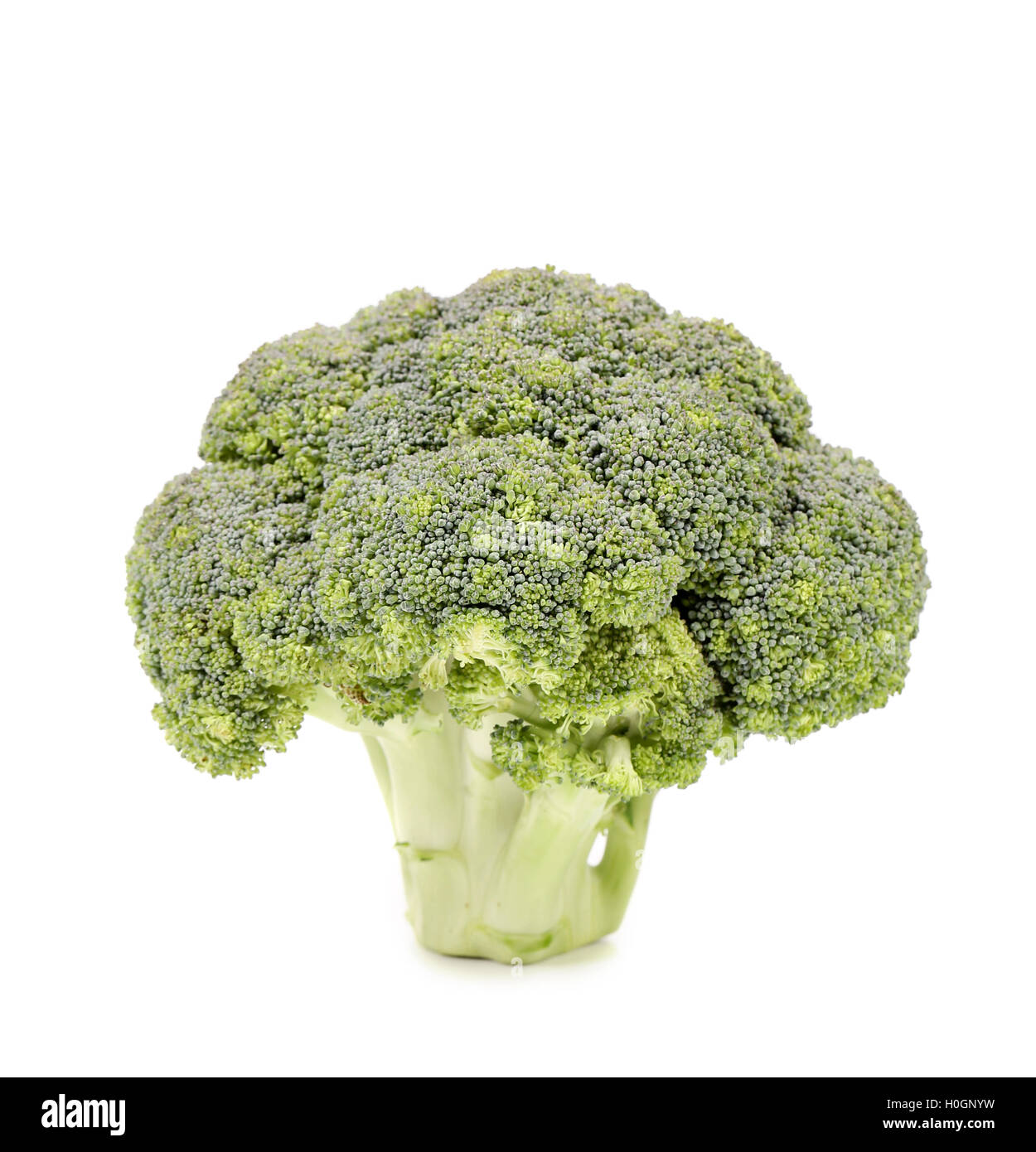 Fresh broccoli vegetable Stock Photo Alamy