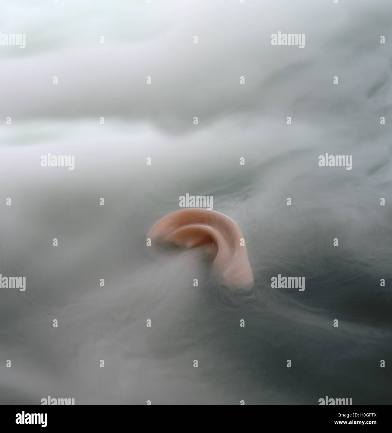 Ear floating in the fog Stock Photo