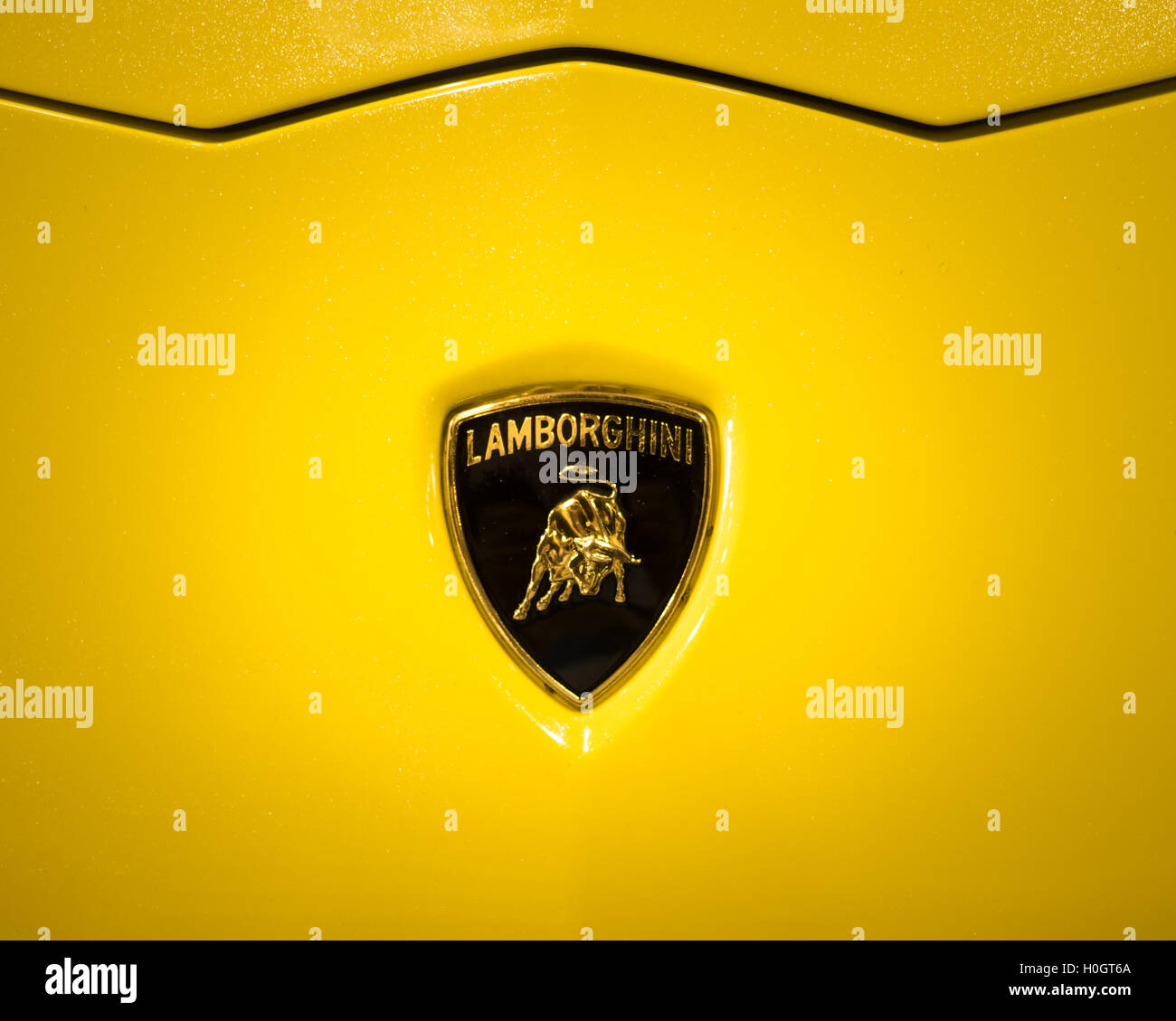 Lamborghini logo hi-res stock photography and images - Alamy