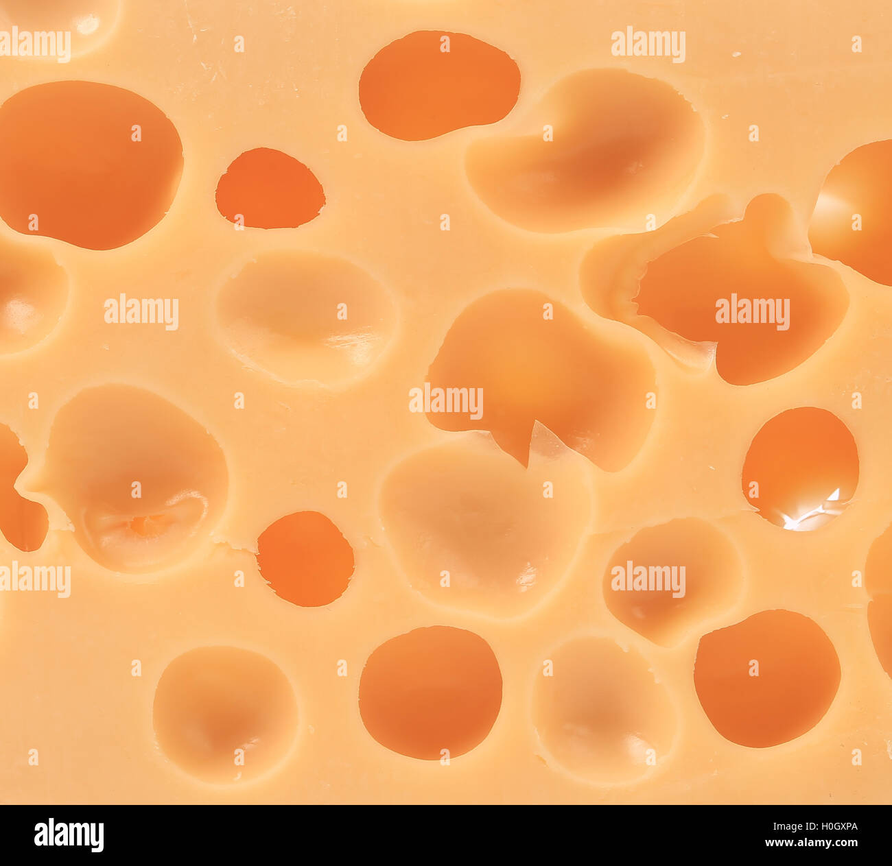 Close up of cheese texture Stock Photo - Alamy