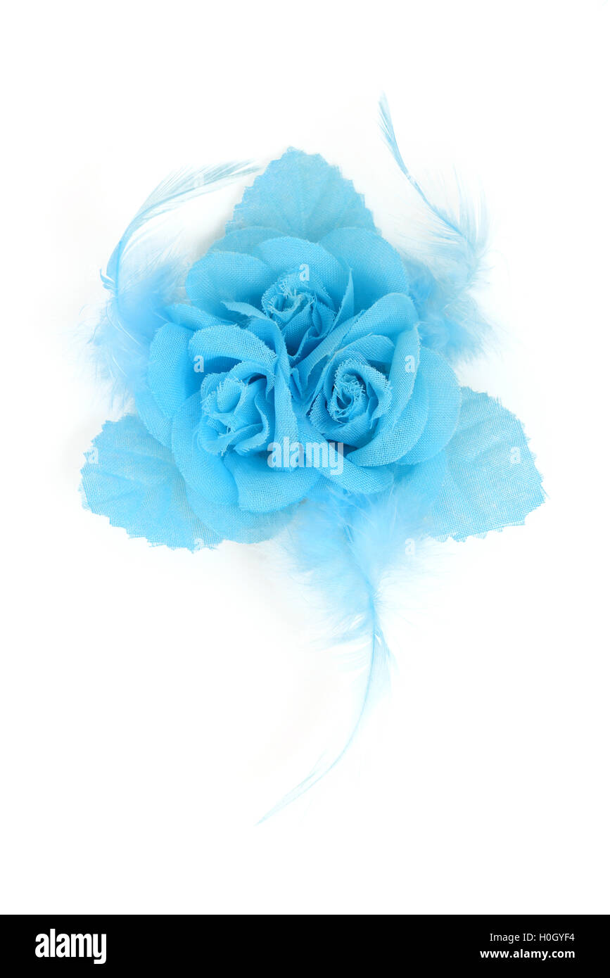 Blue rose petals Cut Out Stock Images & Pictures Alamy