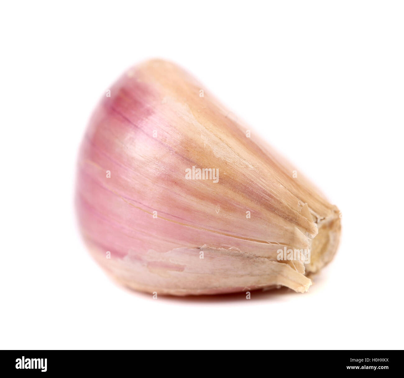 Fresh garlic clove Stock Photo - Alamy