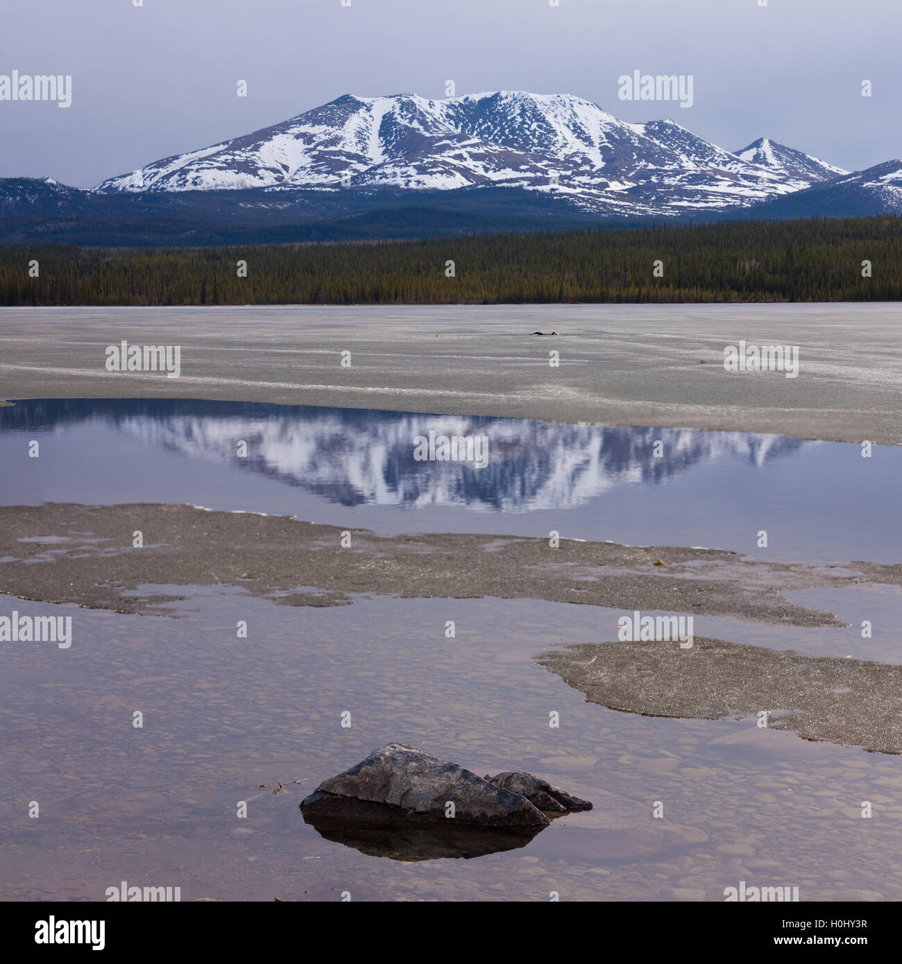 Little Peak reflection Fox Lake Yukon T Canada Stock Photo Alamy