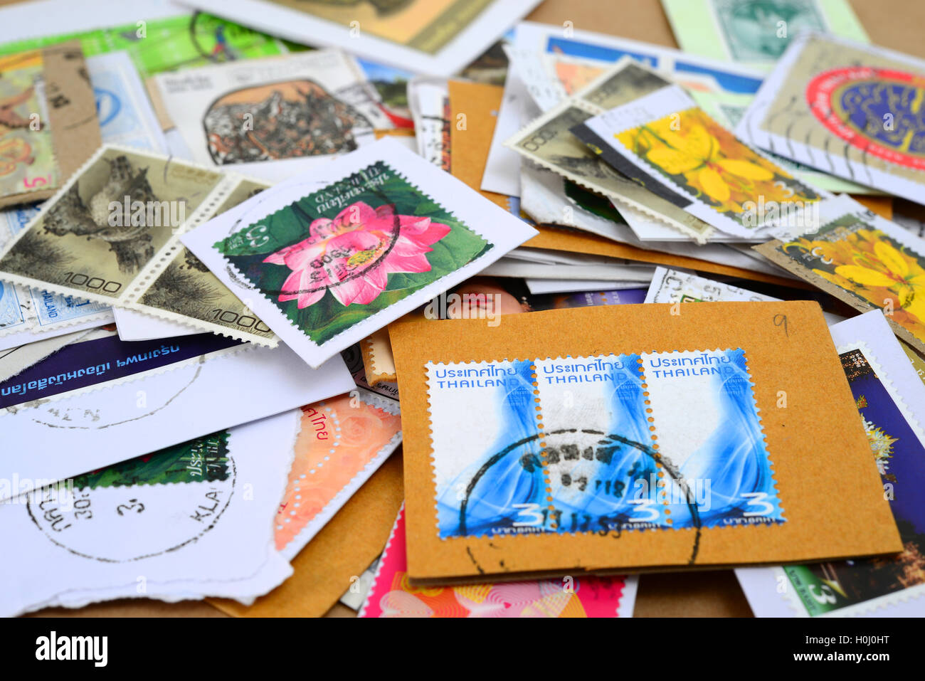 stamp collection Stock Photo Alamy