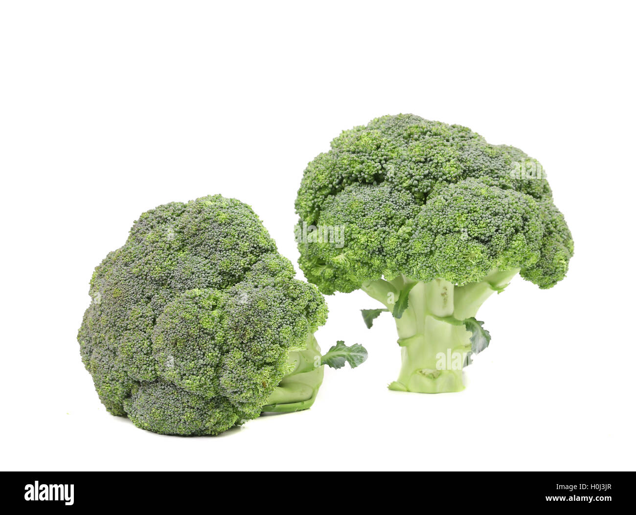Two fresh broccoli close up Stock Photo - Alamy
