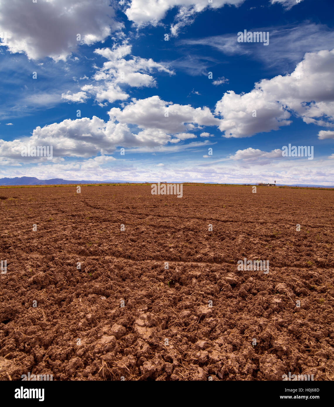 Cereal rice fields in fallow after harvest at Mediterranean Stock Photo ...