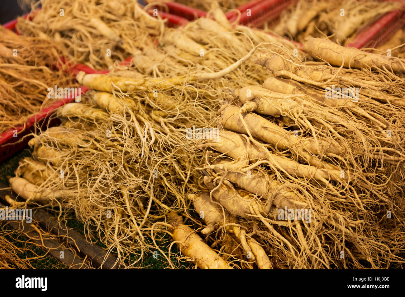 Ginseng for sell in food market Stock Photo Alamy