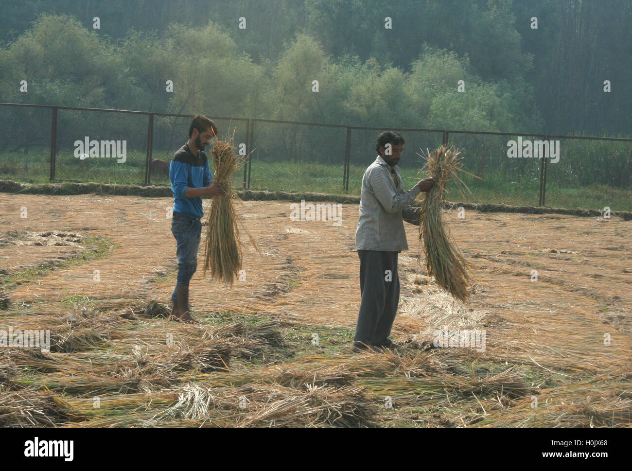 Srinagar, Indian Administered Kashmir21 September.Kashmiri villagers