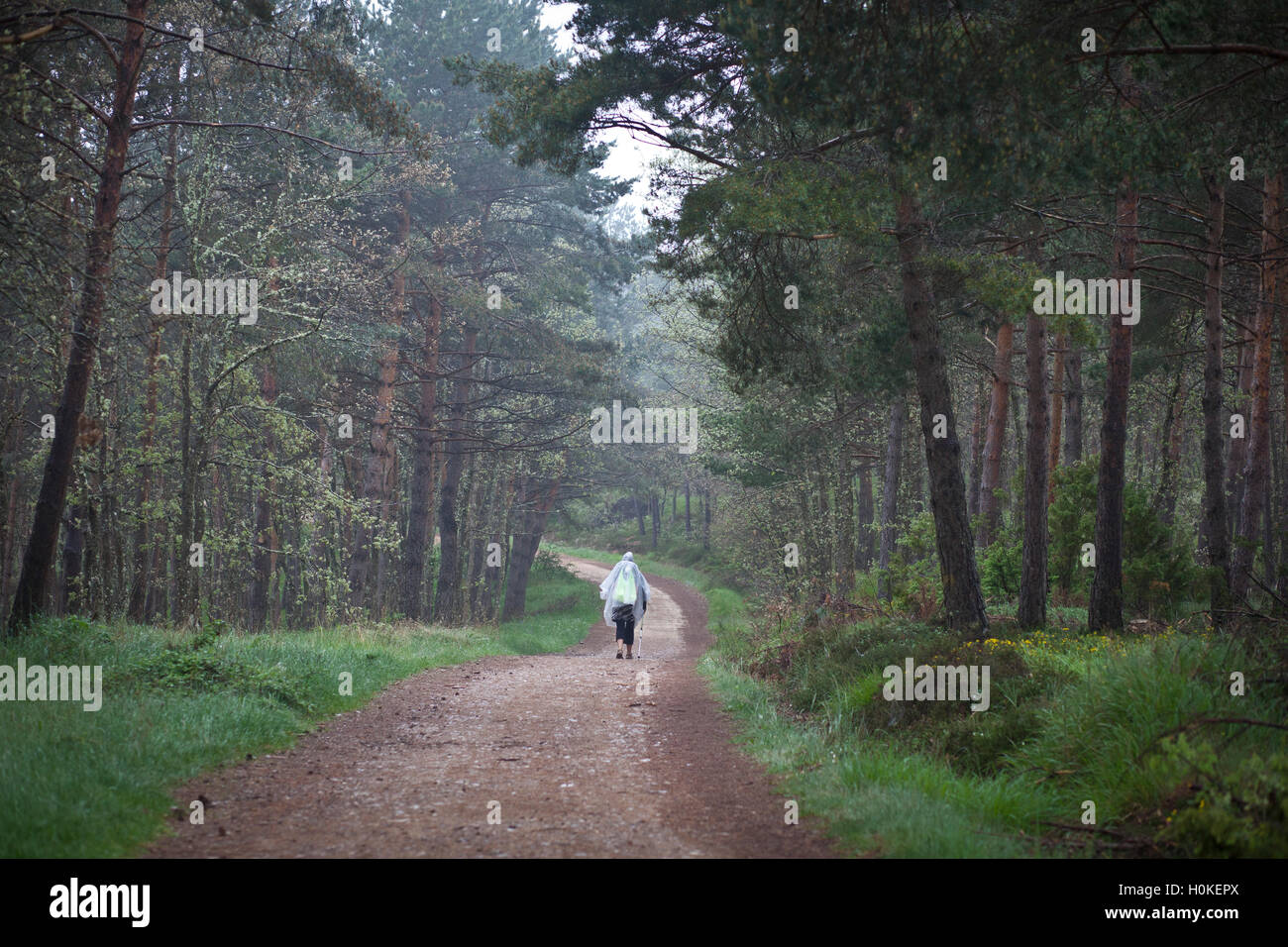 Person with rain coat on walking the Camino de Santiago, route Frances Stock Photo