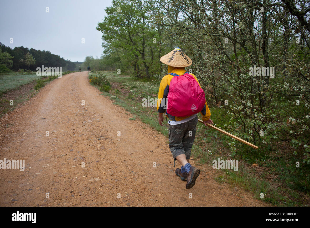 Korean man walking along the Camino de Santiago, route Frances Stock Photo