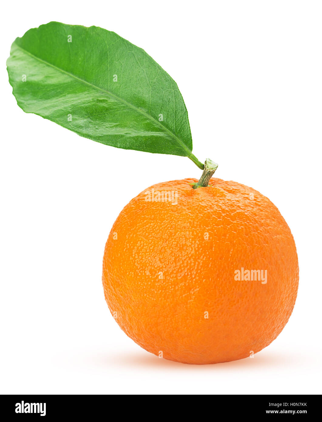 Clementine peel up close fruit Cut Out Stock Images & Pictures - Alamy