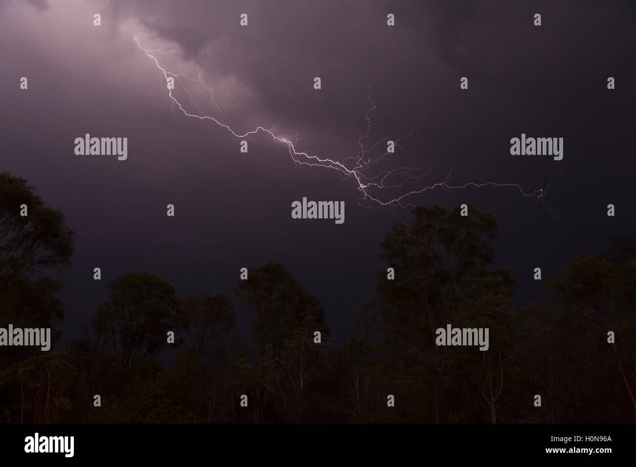 Dramatic lightning storm over trees Queensland Australia Stock Photo