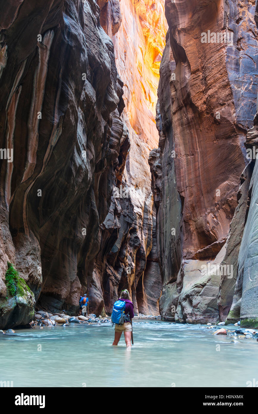 Hiker standing in river, Zion Narrows, constriction of Virgin River, steep walls of Zion Canyon