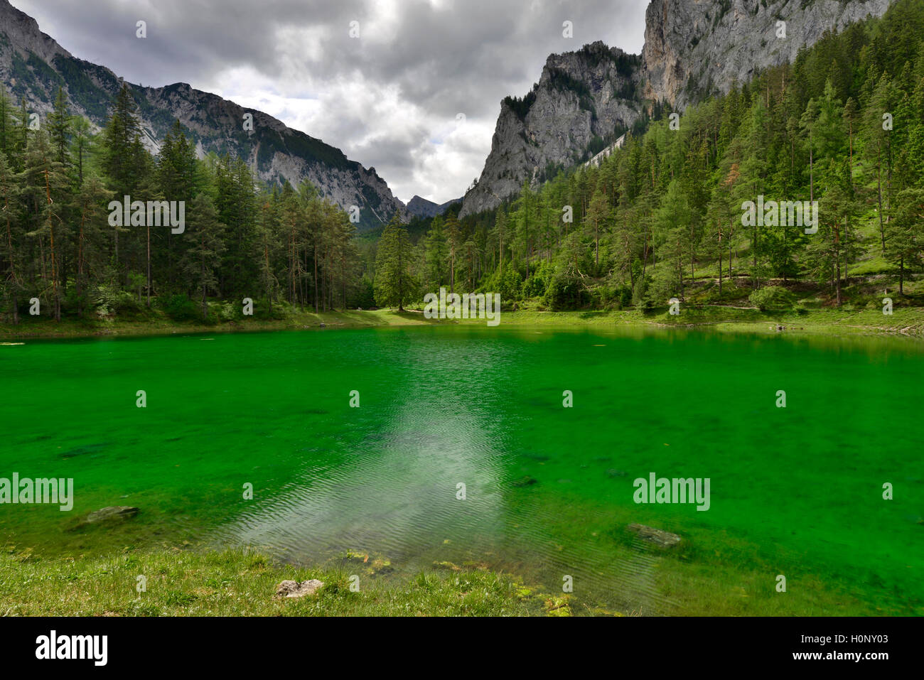 Grüner See, Green Lake, Tragöss, Styria, Austria Stock Photo