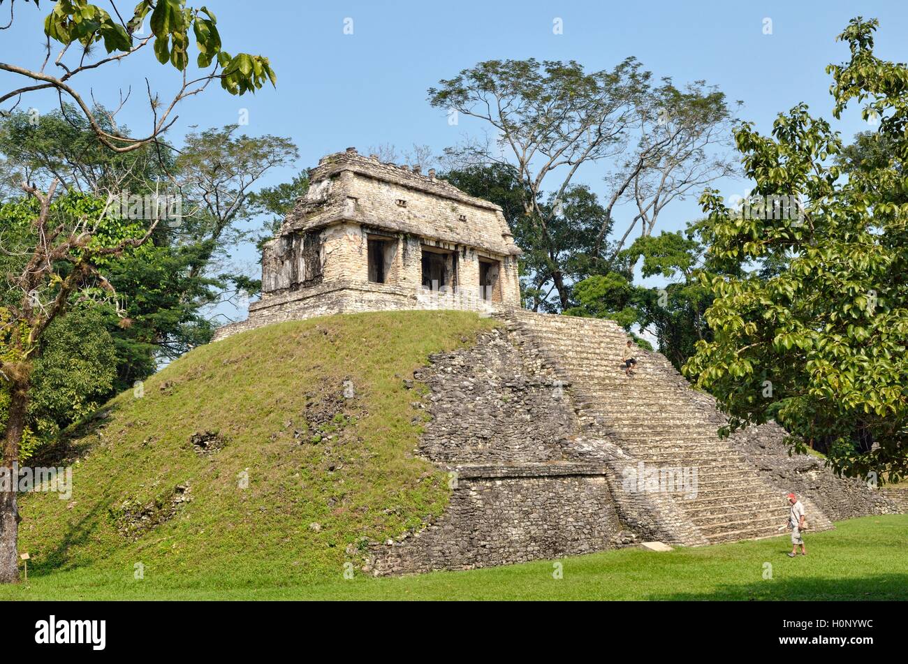 Temple Templo del Conde, Mayan ruins of Palenque, Chiapas, Mexico Stock Photo