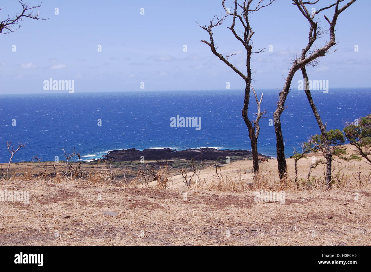 Hawaii Maui Desert Scene; Mountain view overlooking desert including