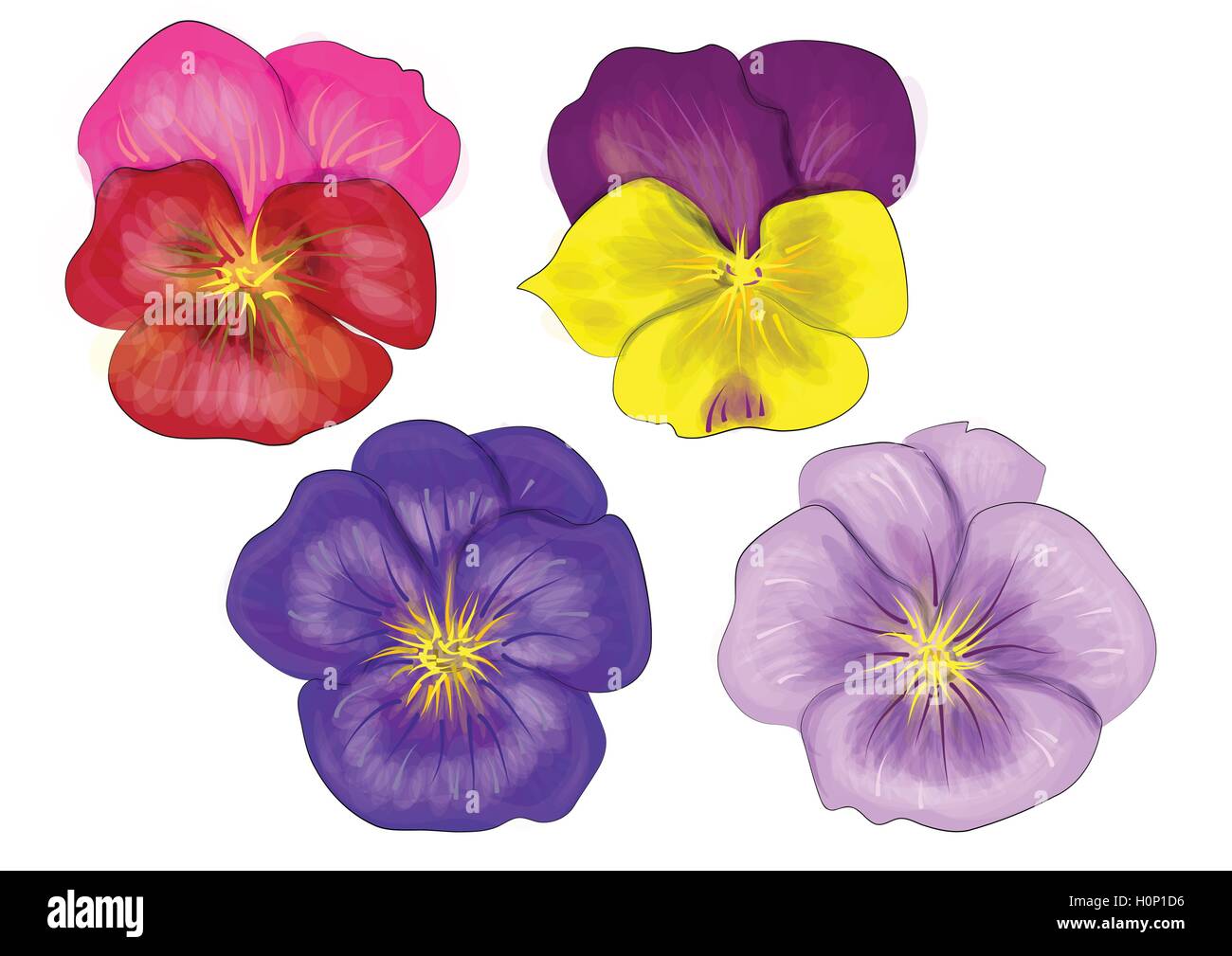 Pansy Stock Vector Images - Alamy