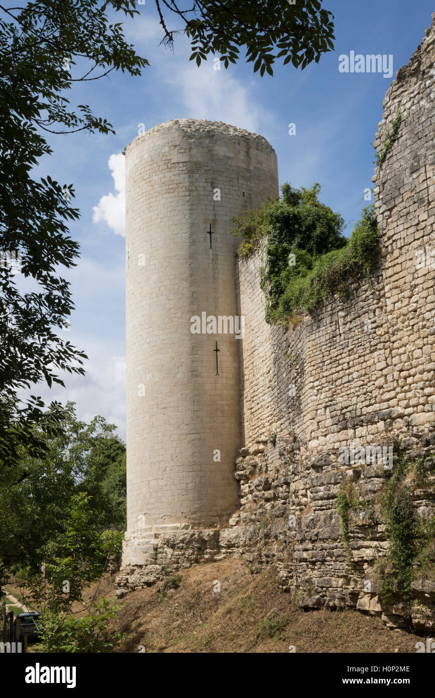 Ruins of the Chateau du Coudray-Salbart, near Niort, central France Stock Photo